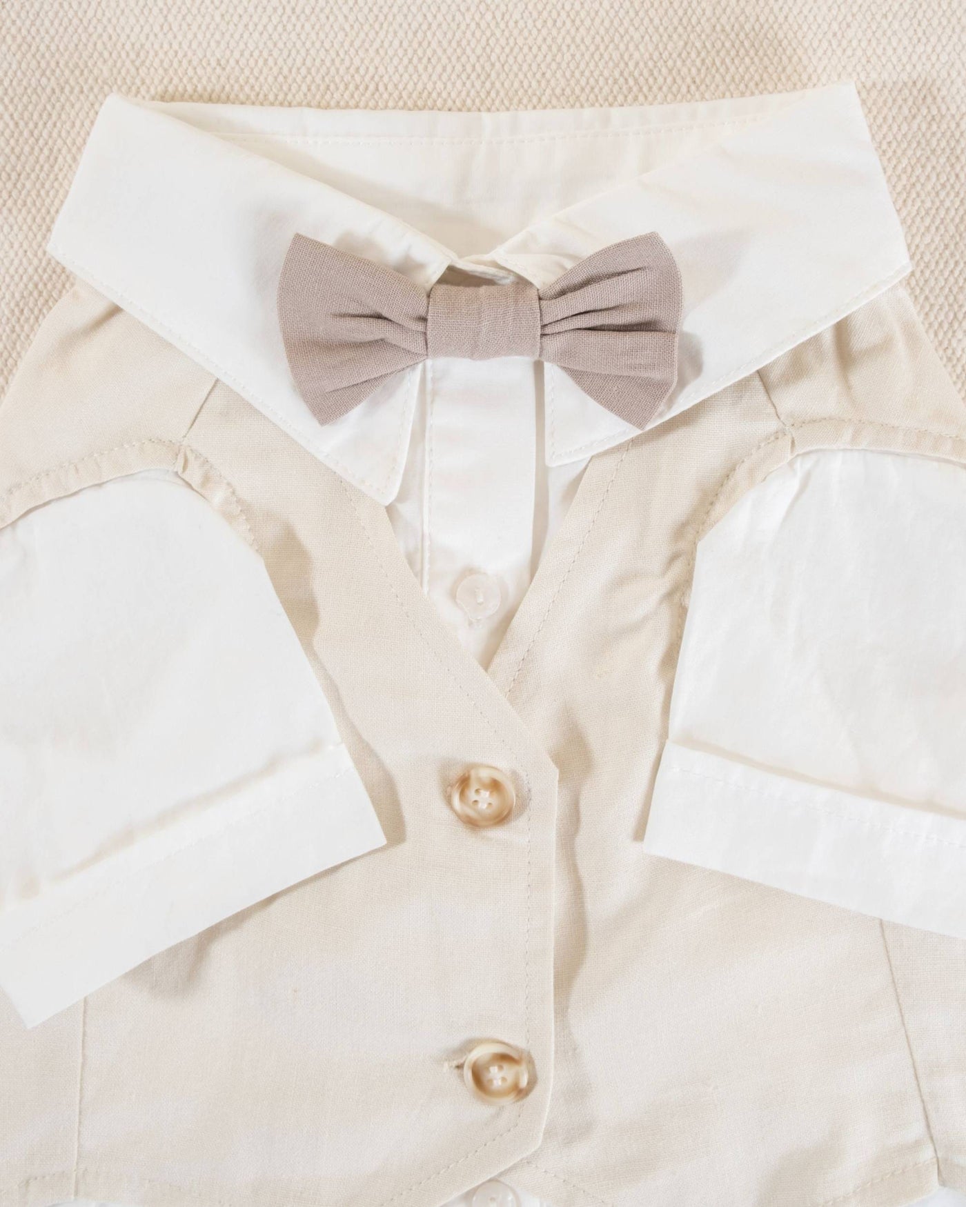 Dog's formal wedding outfit in white with elegant button-up shirt and collar