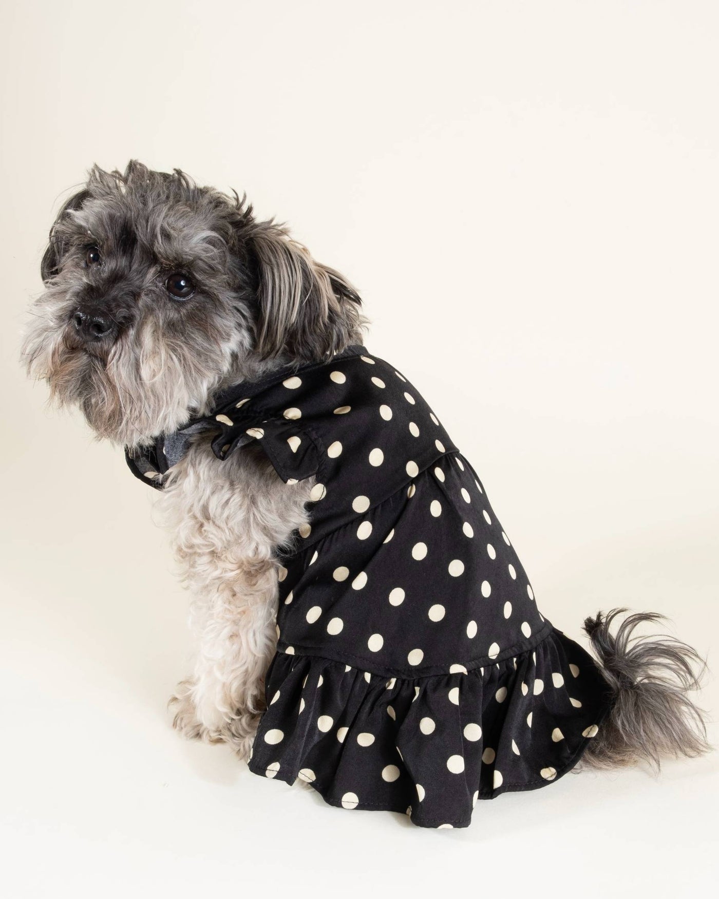 Gigi Black + Ivory Polka Dot Dress