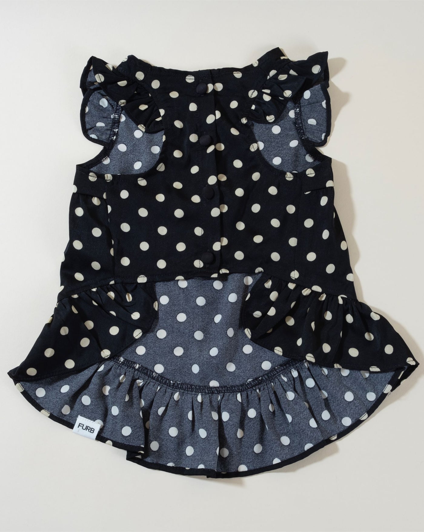 Gigi Black + Ivory Polka Dot Dress. dress for pug dog 11