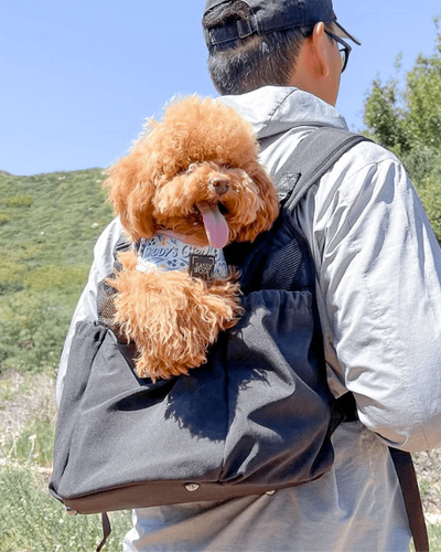 Front and Back Dog Carrier in black, designed for ultimate comfort and versatility for pet travel.