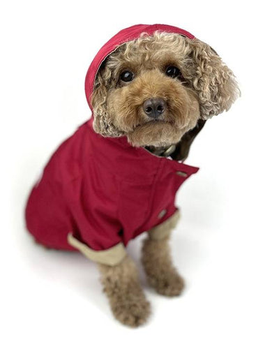 Red Dog Rain Jacket. pug waterproof coat 