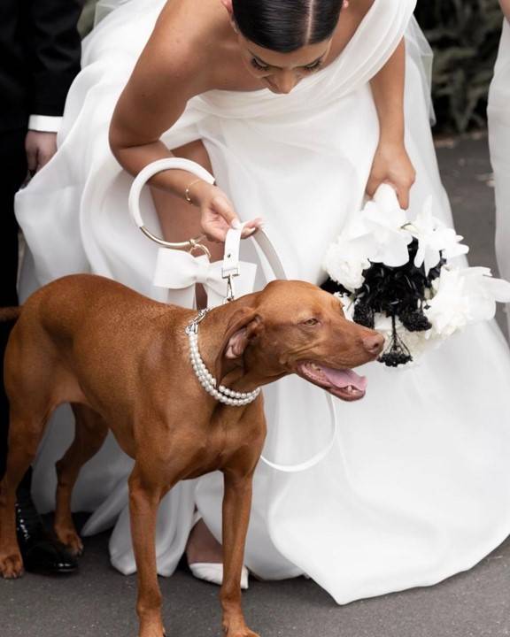 Sophisticated white dog leash for small and medium dogs, an elegant accessory for your wedding day.