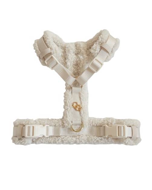 French Bulldog styled in a soft ivory teddy dog harness, perfect for cold-weather adventures.