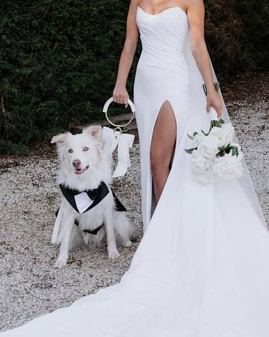 Stylish wedding dog leash for small to medium breeds, designed to make your pup shine on your special day.