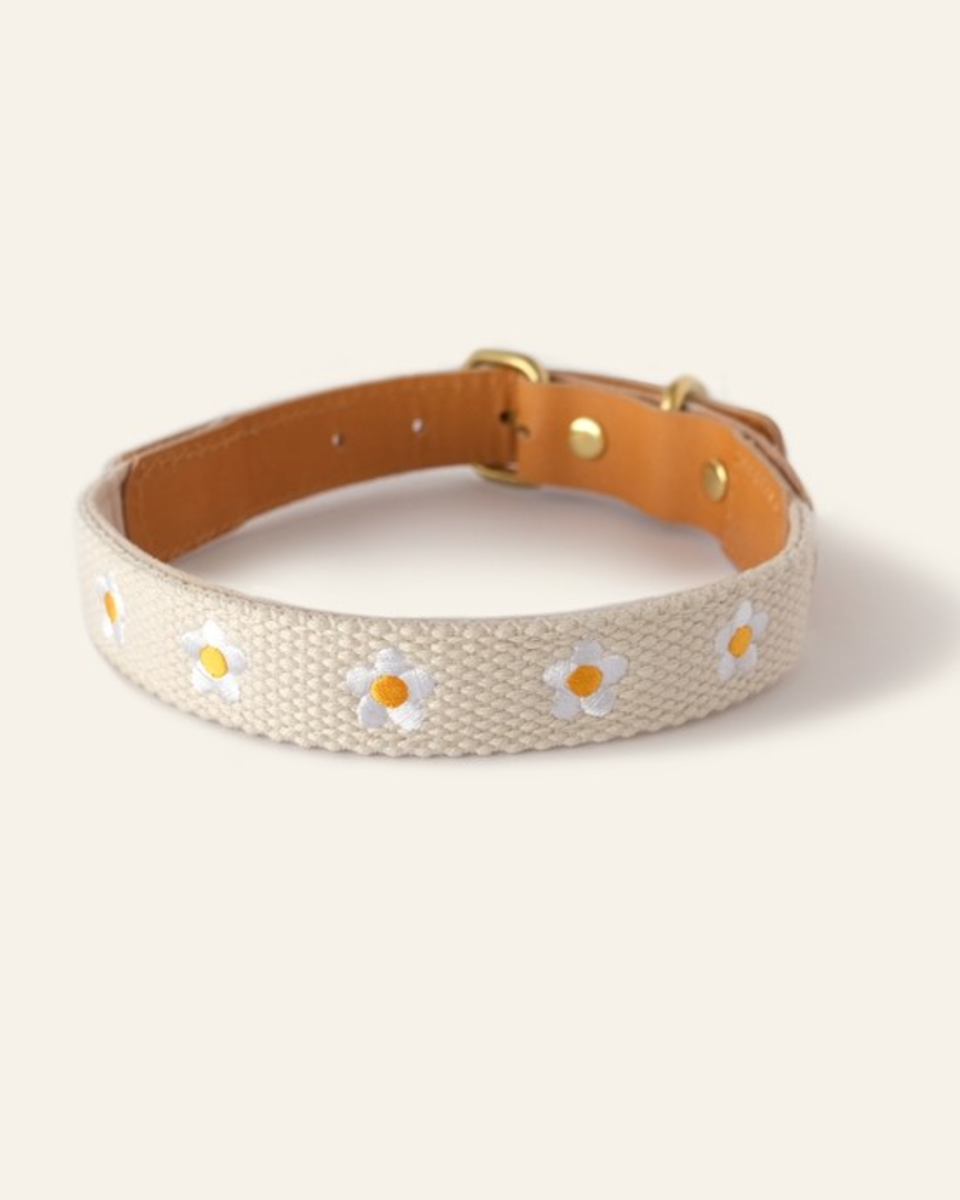 Fresh As A Daisy Dog Collar