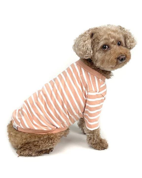 Soft peach-striped dog t-shirt for small breeds, perfect for Corgis or Doodles.