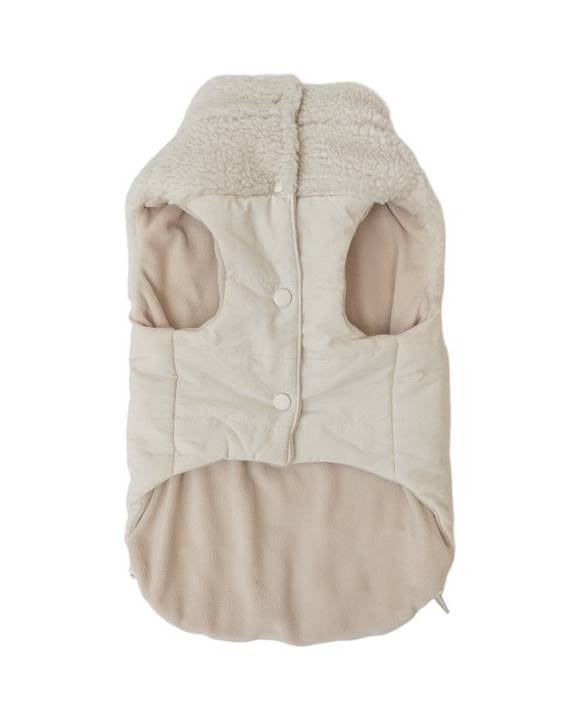 Corgi rocking a chic ivory teddy vest, ideal for winter adventures.