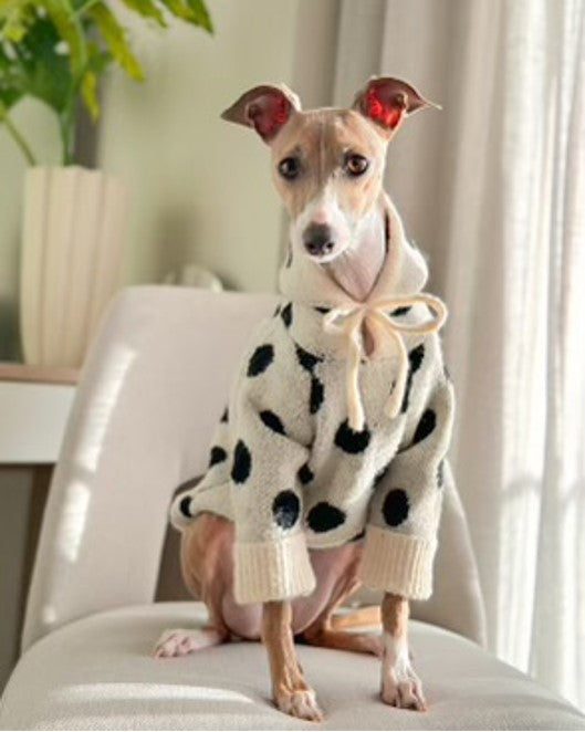 Milan Ivory + Black Polka Dot Dog Hoodie. Cute hoodie for Maltese 