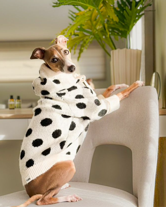 Milan Ivory + Black Polka Dot Dog Hoodie. Cute hoodie for poodles 