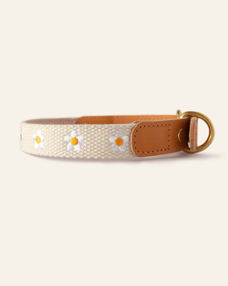 White dog collar with a charming daisy design, perfect for pets who love floral patterns