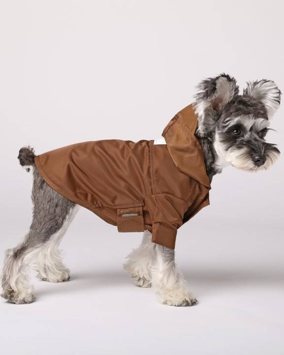 Waterproof rainjacket for Minature Pinscher dogs
