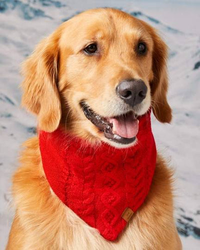 Red cable knit dog bandana with adjustable snap closure for winter warmth, perfect for pugs, chihuahuas, and corgis