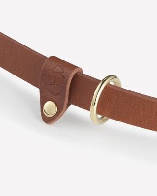 Multi-position brown leather leash, designed for long walks and comfortable use.