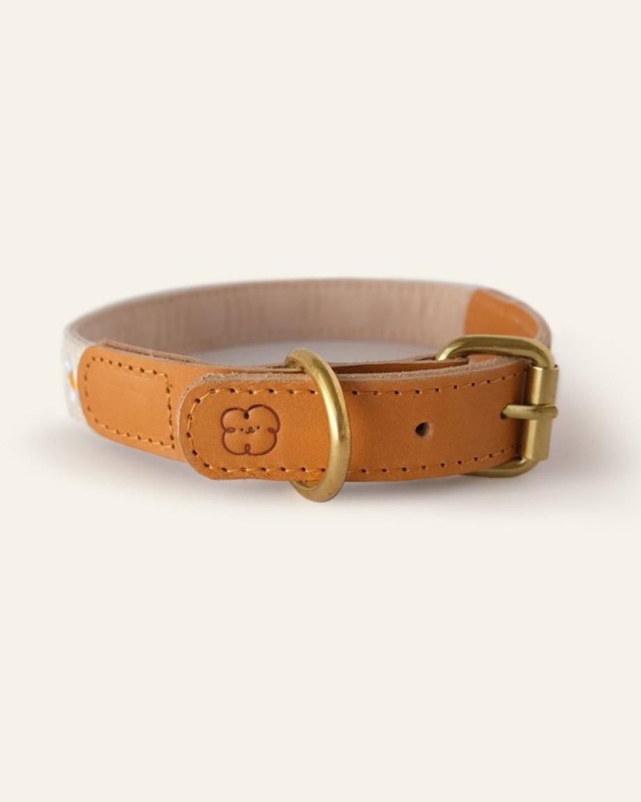 Fresh As A Daisy Collar + Leash Set