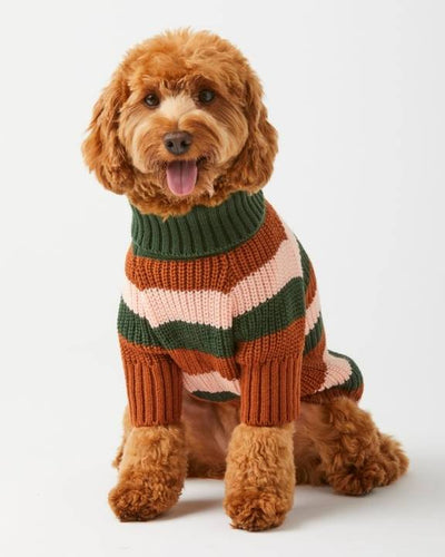 Cozy Bold Stripe Dog Sweater in brown/tan, perfect for keeping your dog warm and stylish.