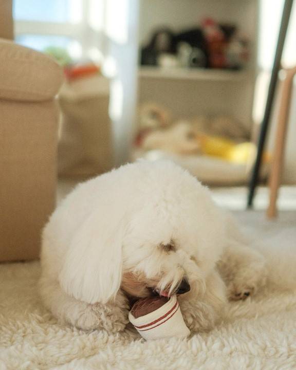 Espresso-themed dog toy in brown and tan, perfect for energetic dogs