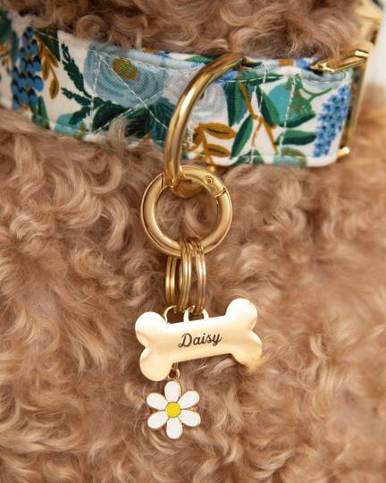 Adorable daisy collar charm for small pups like Beagles and Dachshunds