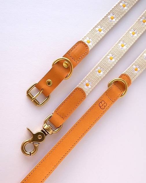 Fresh As A Daisy Collar + Leash Set