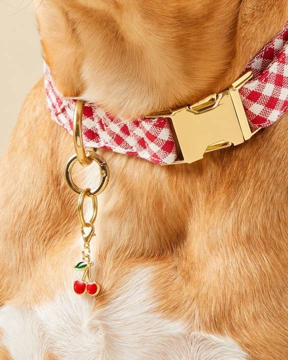 Cherry-shaped collar charm in red, perfect for small to medium dogs who want to add some fruit-inspired fun to their look