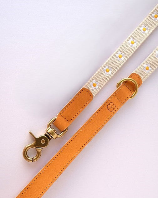 White dog leash featuring a cheerful daisy pattern, ideal for adding a floral touch to your pet's walk