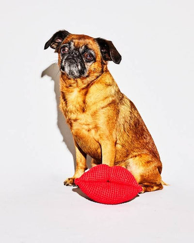 Fun red lips dog toy for playful interactions and fetch