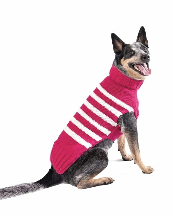 Fashionable red striped sweater for pets to stay warm