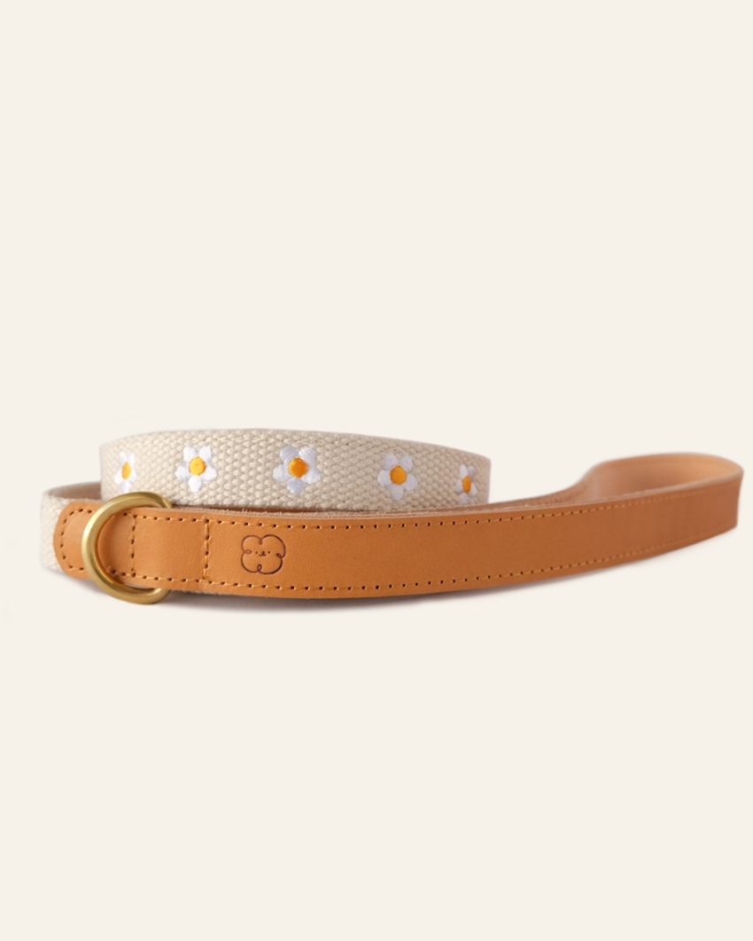 Fresh As A Daisy Collar + Leash Set