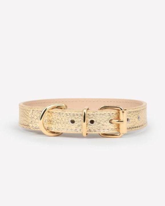 Rocco Leather Collar in Gold