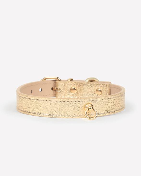 Rocco Leather Collar in Gold