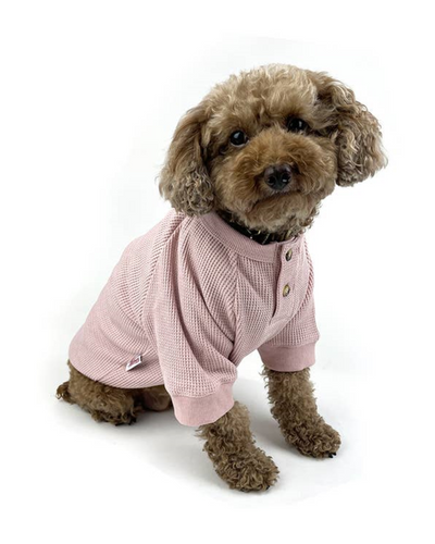 Harper pink waffle knit henley shirt for dogs, perfect for Yorkies or Pugs.