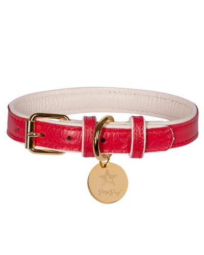 Modern Dog Collar in red, designed for both comfort and style for your beloved pet.