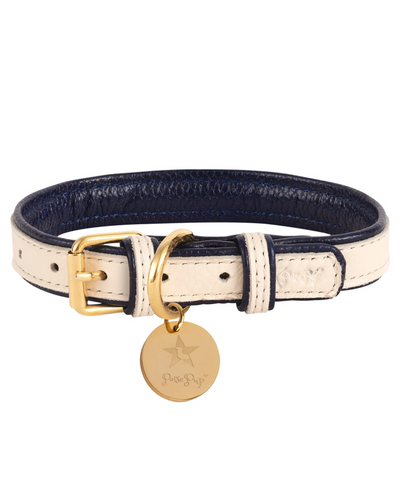 Contemporary white and navy dog collar, perfect for trendy dogs