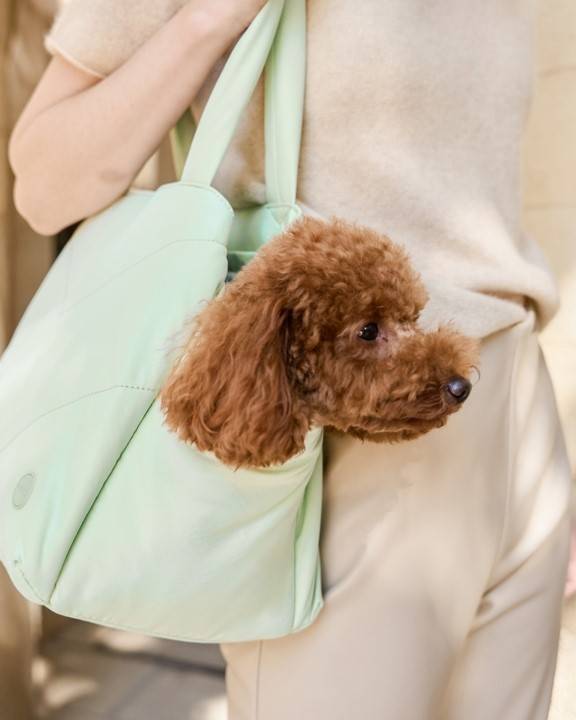 Road Trip Mint Pet Carrier Tote