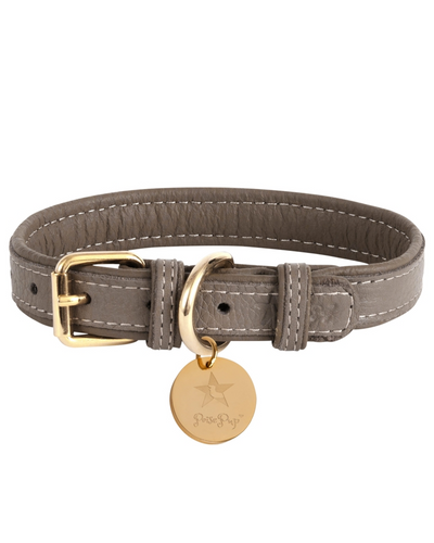 Contemporary grey dog collar in taupe color for everyday use