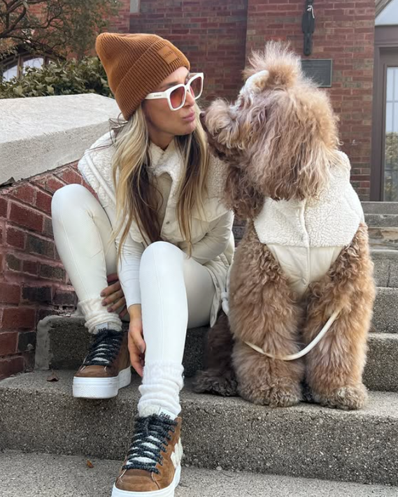 Bichon Frisé wearing an ivory teddy dog vest for maximum coziness.