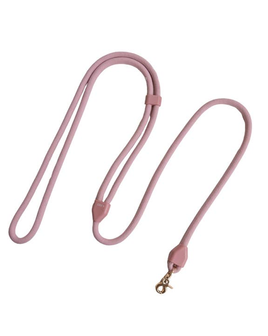 Yorkie walking with a Sunday Stroll hands-free rose dog leash for convenient adventures.