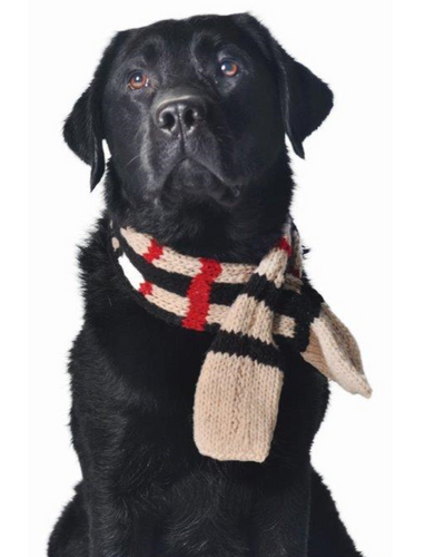 Trendy brown pet scarf for stylish outings