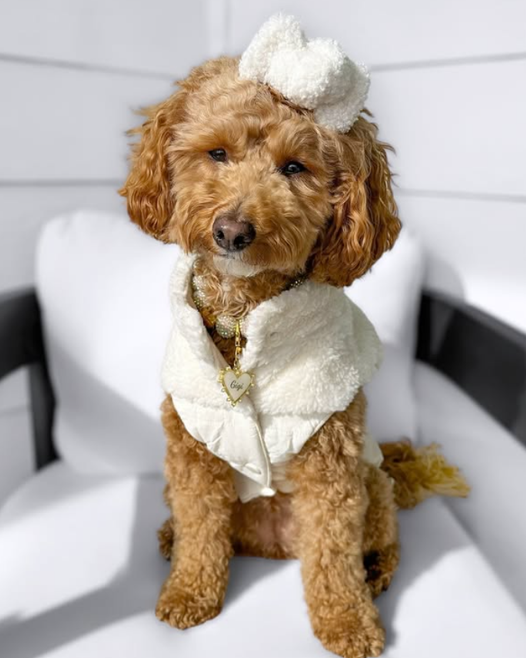 On Cloud K-9 Ivory Teddy Dog Vest