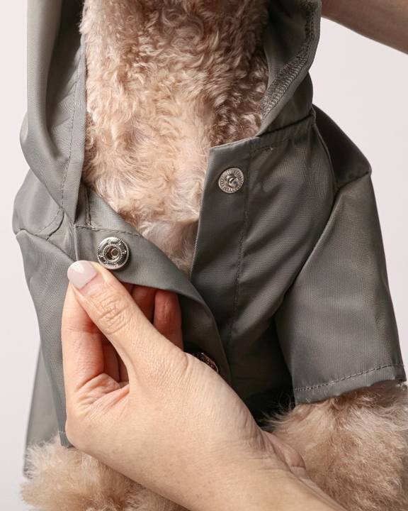 Durable and fashionable dog raincoat, perfect for breeds like Bichons or Chihuahuas.