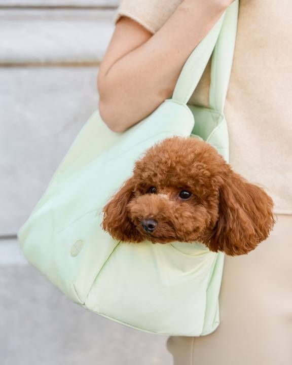 Road Trip Mint Pet Carrier Tote