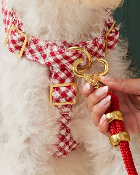 Red gingham harness, a perfect match for small to medium breeds like Schnauzers and Cocker Spaniels.