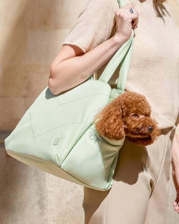 Mint green pet carrier tote, ideal for small dog breeds like Yorkies and Maltese.