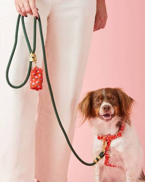 Doodle rocking a functional Berry Sweet waste bag holder with chic patterns.