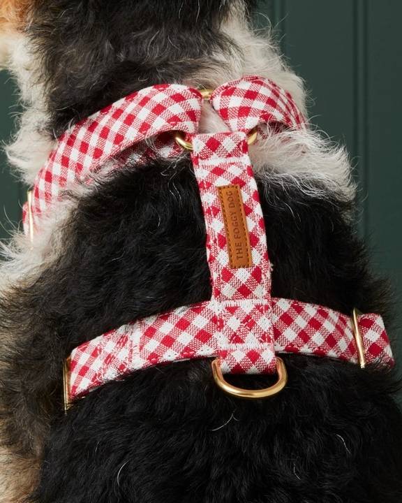 Red gingham dog harness, perfect for stylish small to medium-sized breeds like Cavaliers and Beagles.