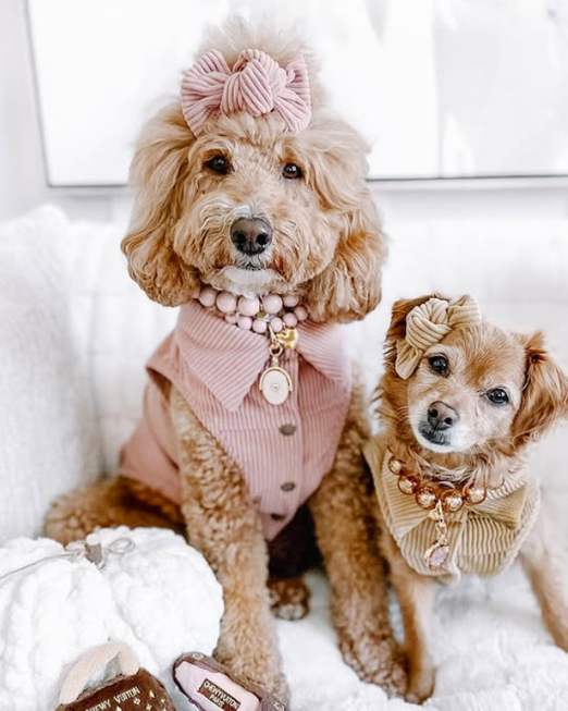 Polished Pup Blush Beaded Dog Necklace