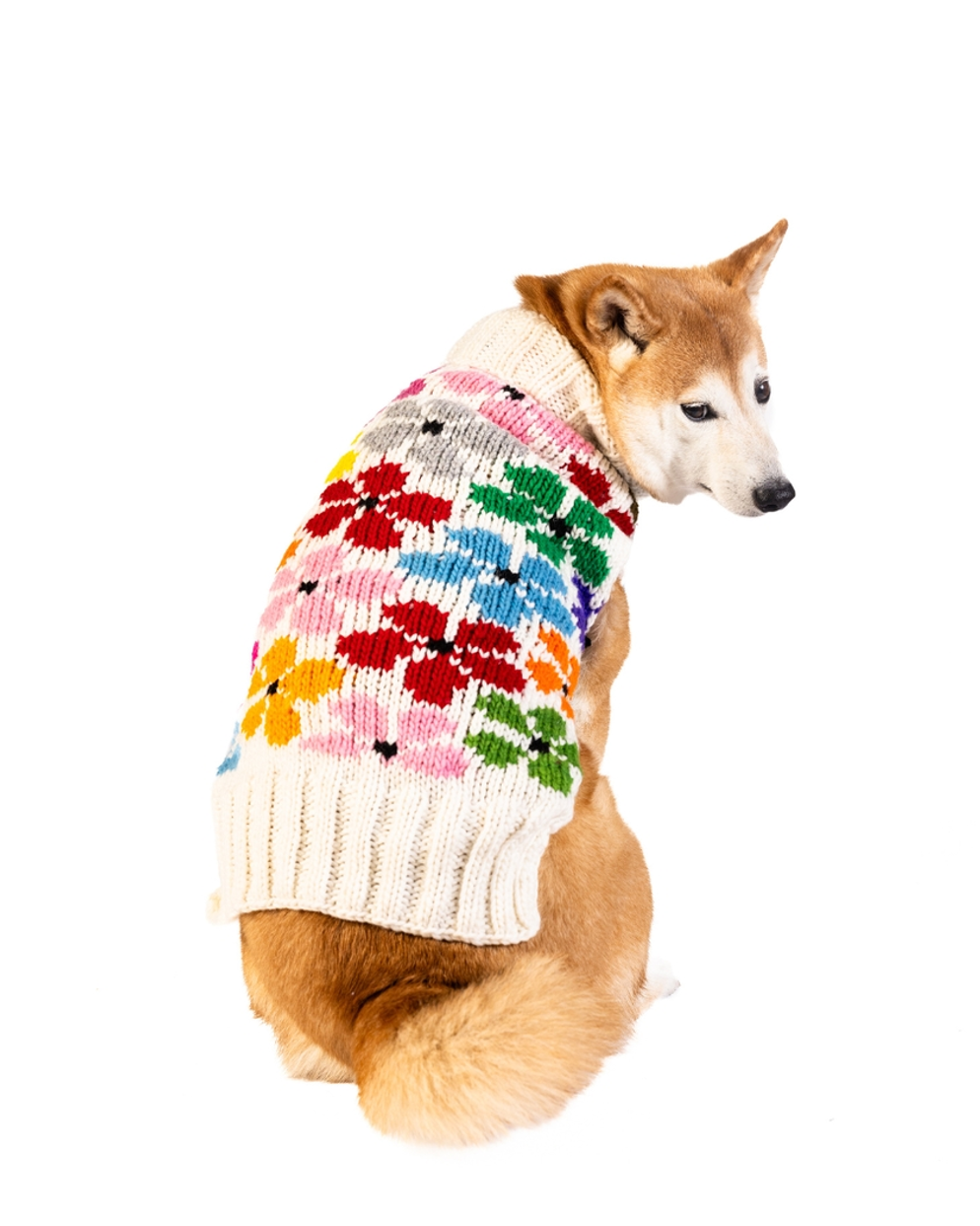 Floral Knit Dog Sweater for Medium Dogs like Beagles, Poodles, and Cavaliers