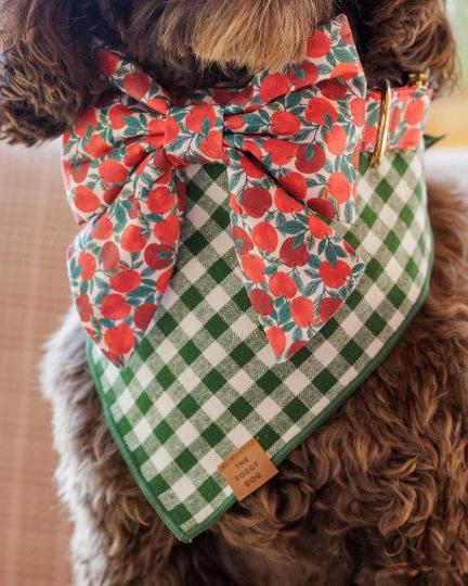 Stylish green gingham dog bandana, great for small breeds like Yorkies and French Bulldogs.