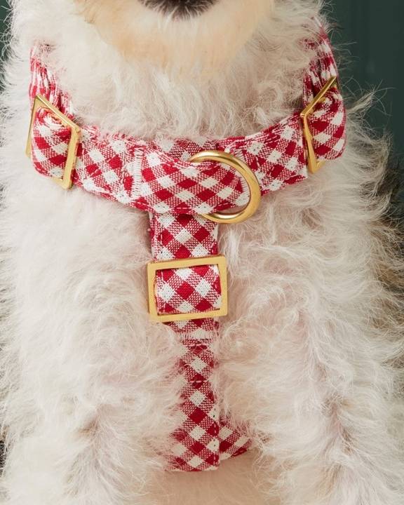 Adorable red gingham dog harness, perfect for breeds like French Bulldogs and Chihuahuas.