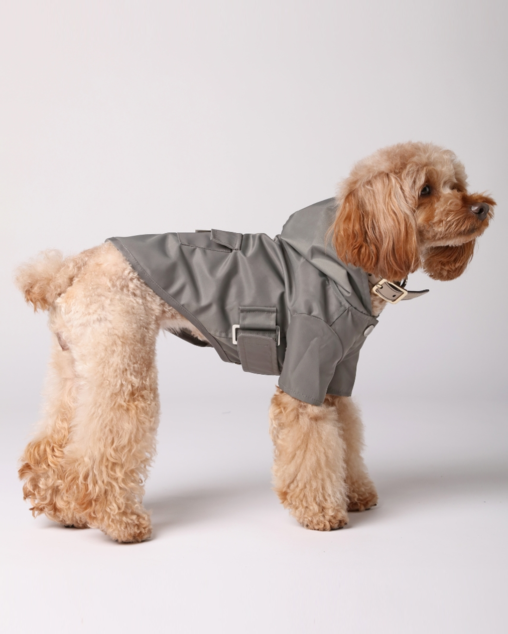 Gunmetal waterproof dog jacket designed for rainy days, perfect for small breeds like Yorkies or Pugs.