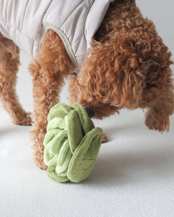 Engaging and playful snuffle dog toy in a cabbage design, perfect for Doodles or Yorkies.